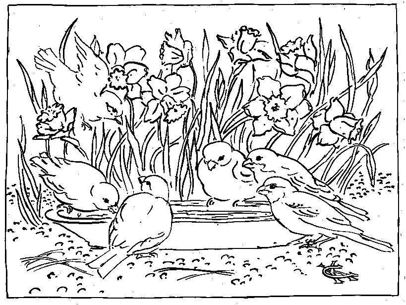 imagini de colorat anotimp primavara